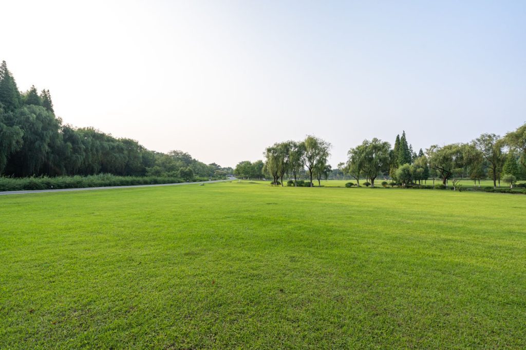 What Lawn Mower Size is Good for 0.7 Acres?